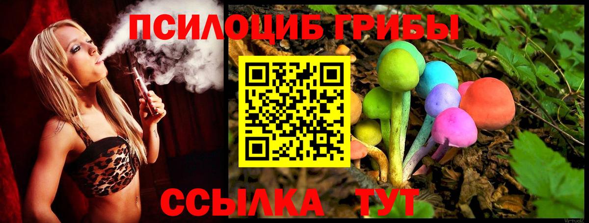 купить наркотики цена  Псилоцибиновые грибы мухоморы  Вход с VPN  Мыски 