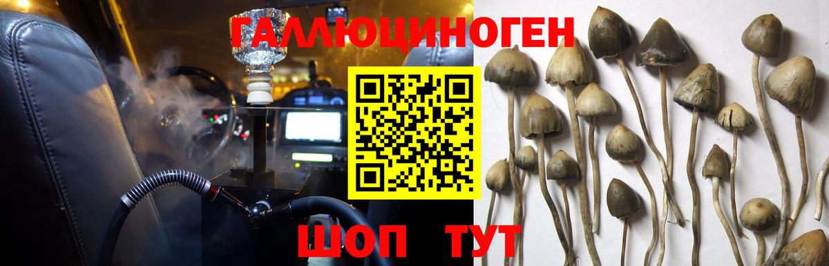 Галлюциногенные грибы мицелий Мыски