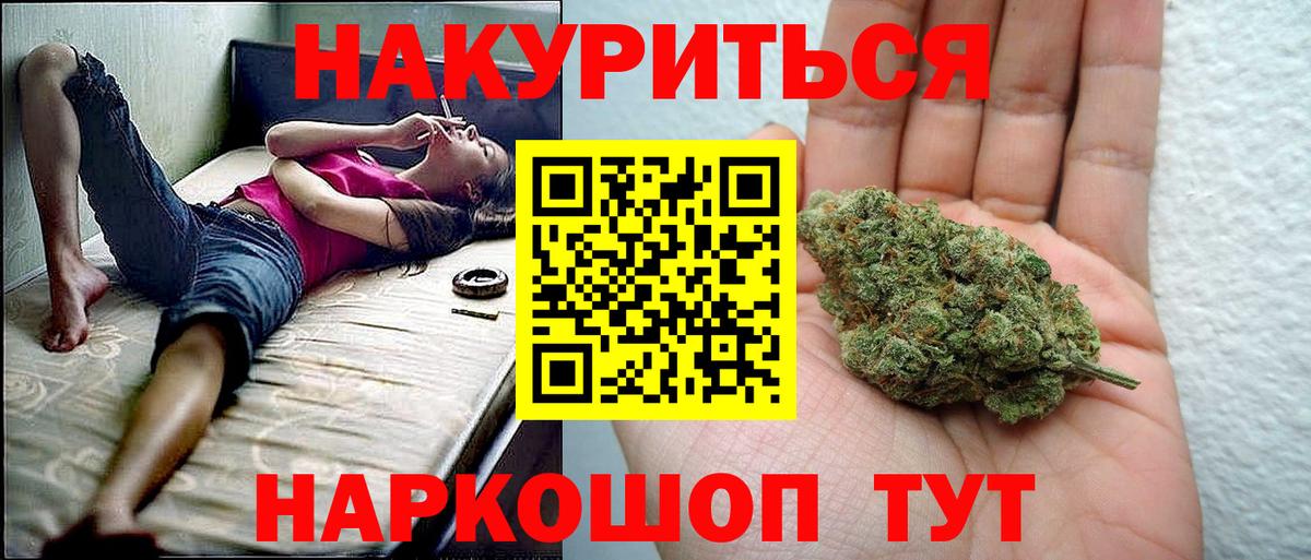 Бошки Шишки ГИДРОПОН  Каннабис план  Мыски  Вход с VPN  Бошки Шишки SATIVA & INDICA 